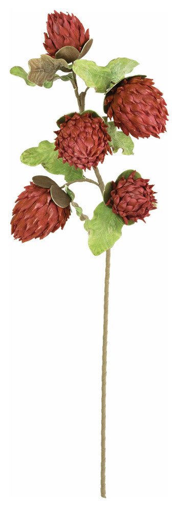 Kalalou Clx3379 Botanica #3379