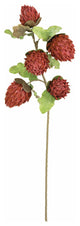 Kalalou Clx3379 Botanica #3379