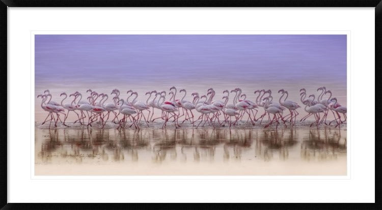 "Comrades In Color" Framed Digital Print by Ahmed Thabet, 44x24"