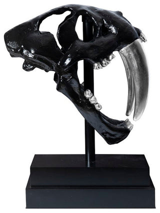 Saber Tooth Tiger Skull, Black