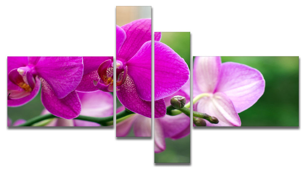Beautiful Orchid Flowers on Green, Large Floral Canvas Print, 60"x32", 4 panels