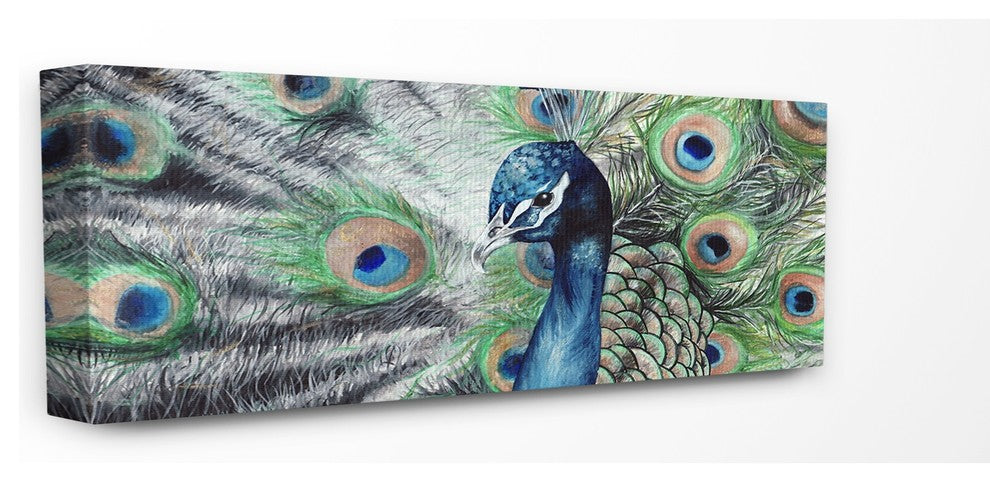 Elegant Feathers Painted Peacock Stretched Canvas Wall Art, 10"x24"