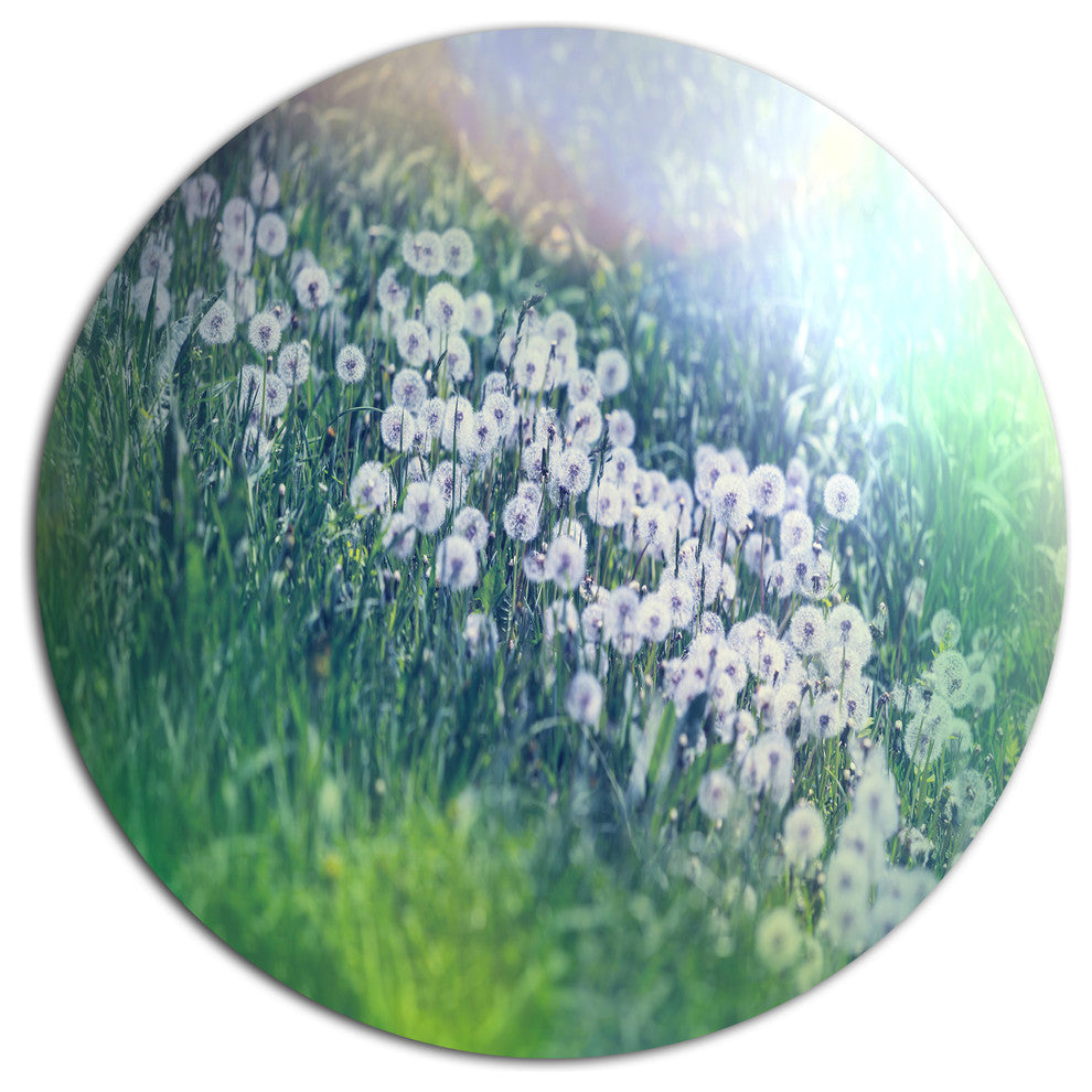 Mountain Plain With Little Flowers, Flower Disc Metal Wall Art, 11"
