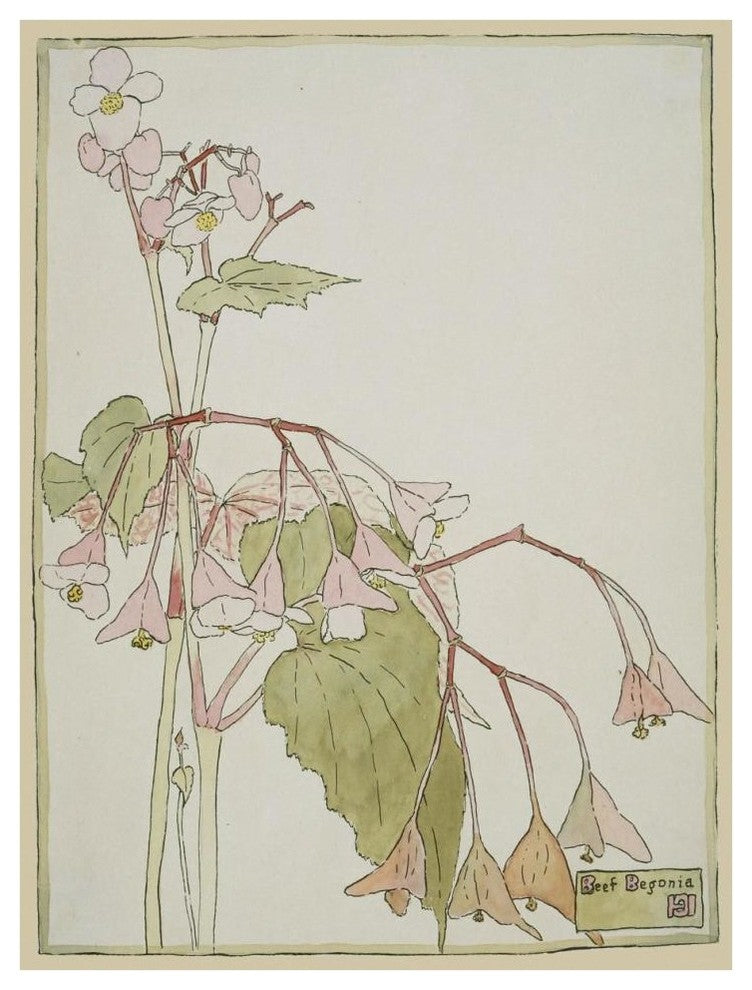 "Beef Begonia" Digital Paper Print by Hannah Borger Overbeck, 32"x42"