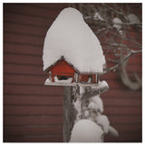 "The Weight of Time" by Christine Sainte-Laudy, Canvas Art