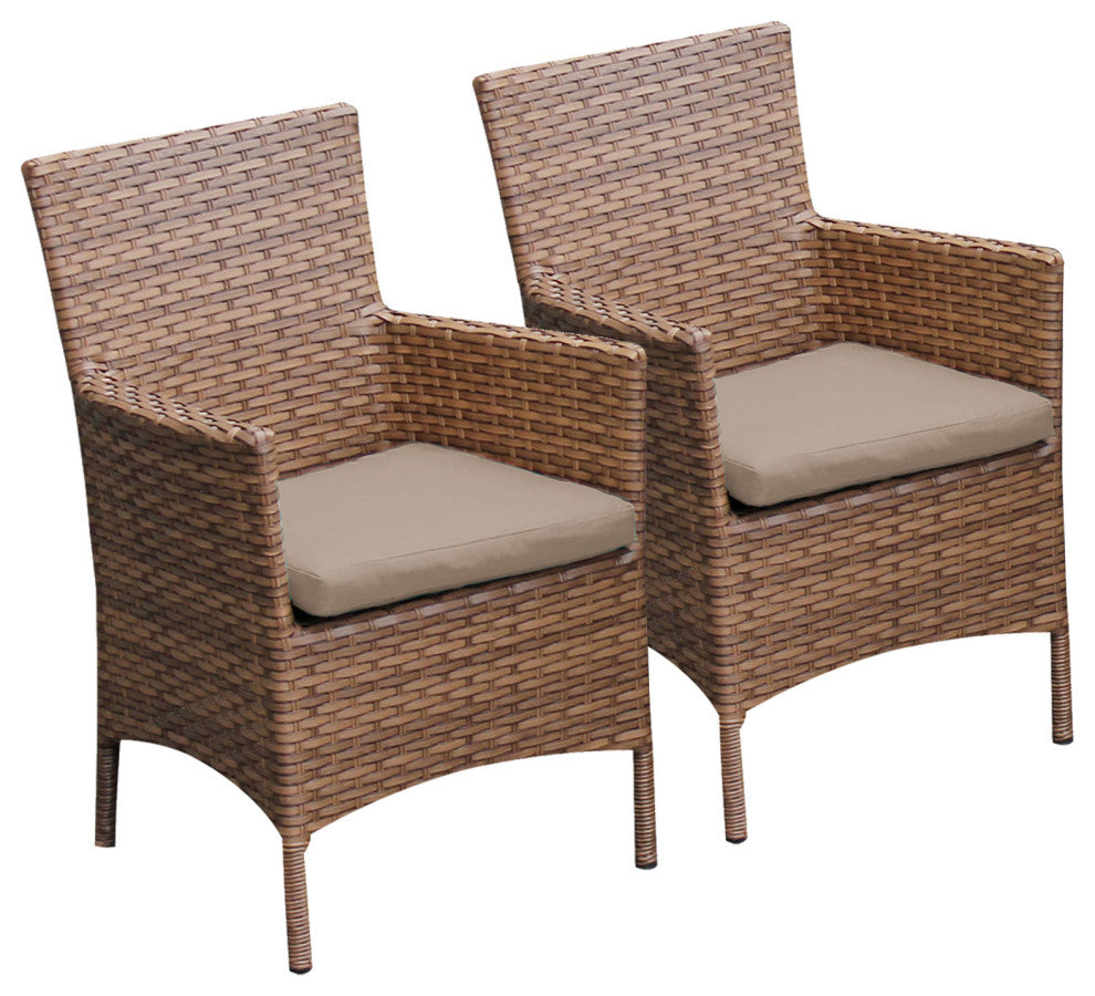 2 Laguna Dining Chairs With Arms