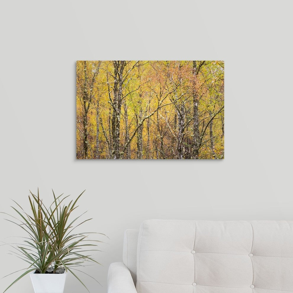"Golden Tapestry" Wrapped Canvas Art Print, 24"x16"x1.5"