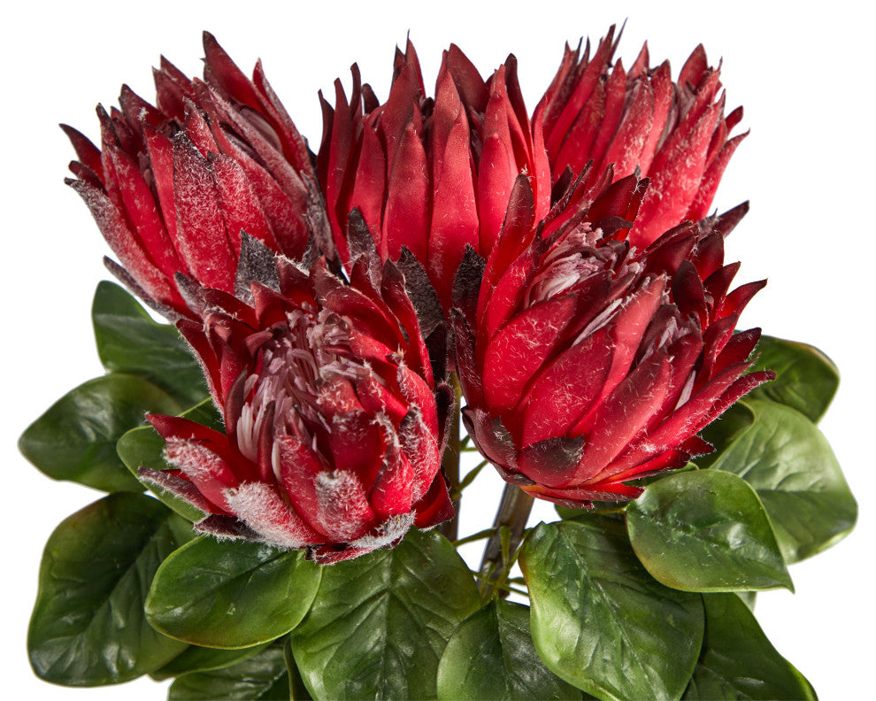 Nearly Natural 23" King Protea Artificial Arrangement, Glass Vase