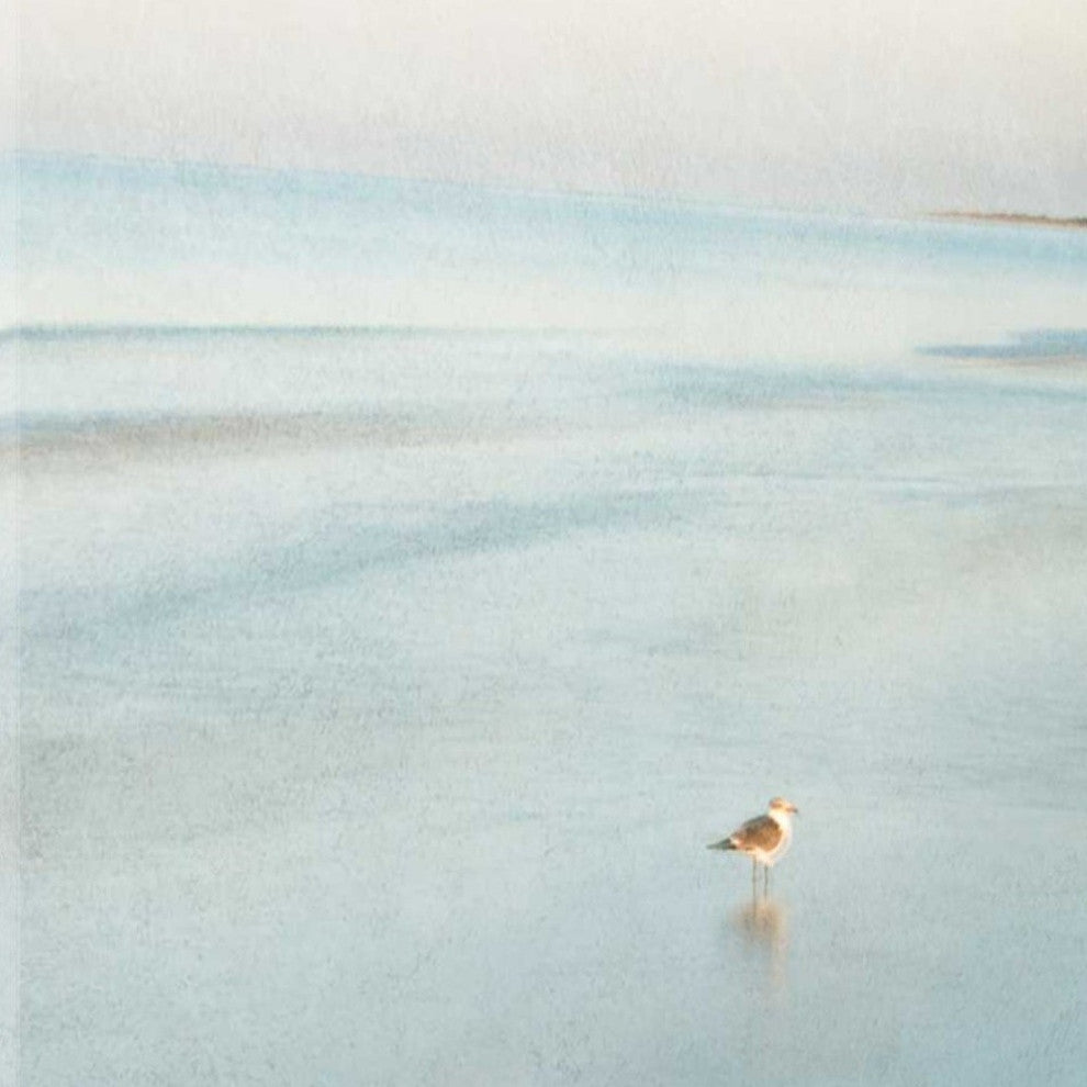 29" Coastal Two Seagulls on the Beach Giclee Wrap Canvas Wall Art