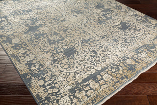 Desiree Traditional Medium Gray, Cream Area Rug, 2'x3'