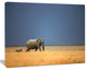 Elephant and Zebra Walking in Bush, African Canvas Art Print, 40"x30"