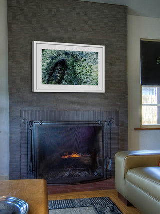 "Mystical Forest" Framed Painting Print