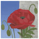 "Poppy" Digital Paper Print by Kathrine Lovell, 26"x26"