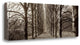"Hampton Gates Promenade - 1" By Alan Blaustein, Giclee on Gallery Wrap Canvas
