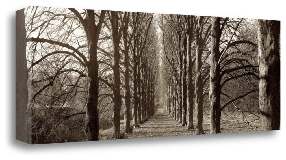 "Hampton Gates Promenade - 1" By Alan Blaustein, Giclee on Gallery Wrap Canvas