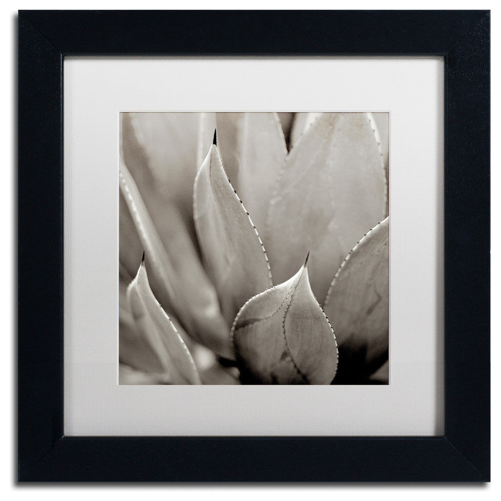Alan Blaustein ''Florison 49'' Art, Black Frame, White Mat, 11x11