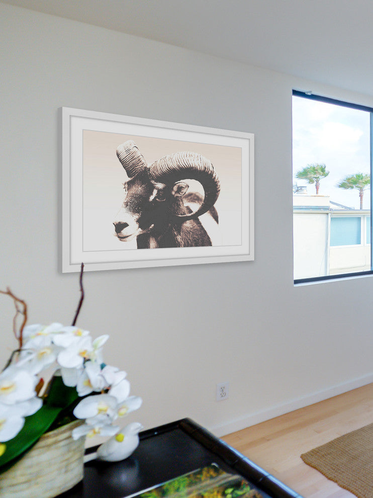 Marmont Hill, "Eye of Ram" Framed Painting Print, 24x16
