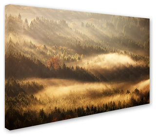 Martin Rak 'Autumn Rays' Canvas Art, 47x30