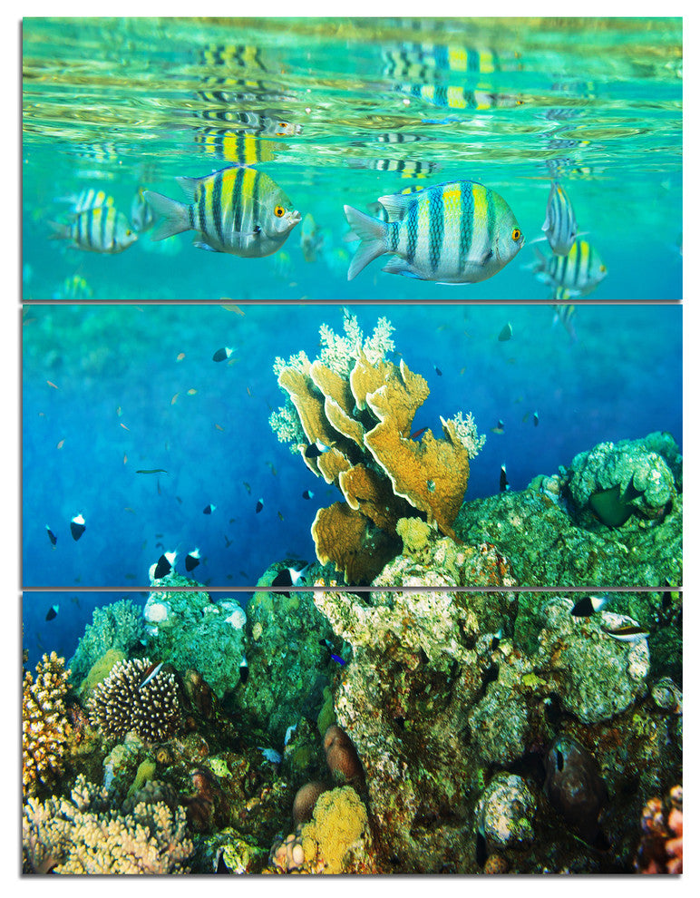 Fantastic Red Sea Coral Fish, Seashore Triptych Canvas Print, 28x36, 3 Panels