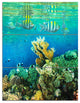 Fantastic Red Sea Coral Fish, Seashore Triptych Canvas Print, 28x36, 3 Panels