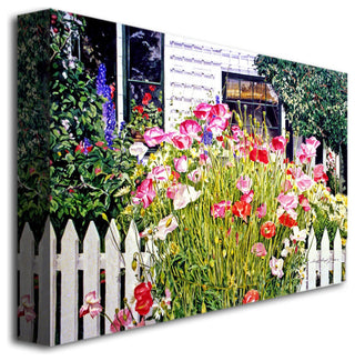 'Poppies on Niagara' Canvas Art by David Lloyd Glover