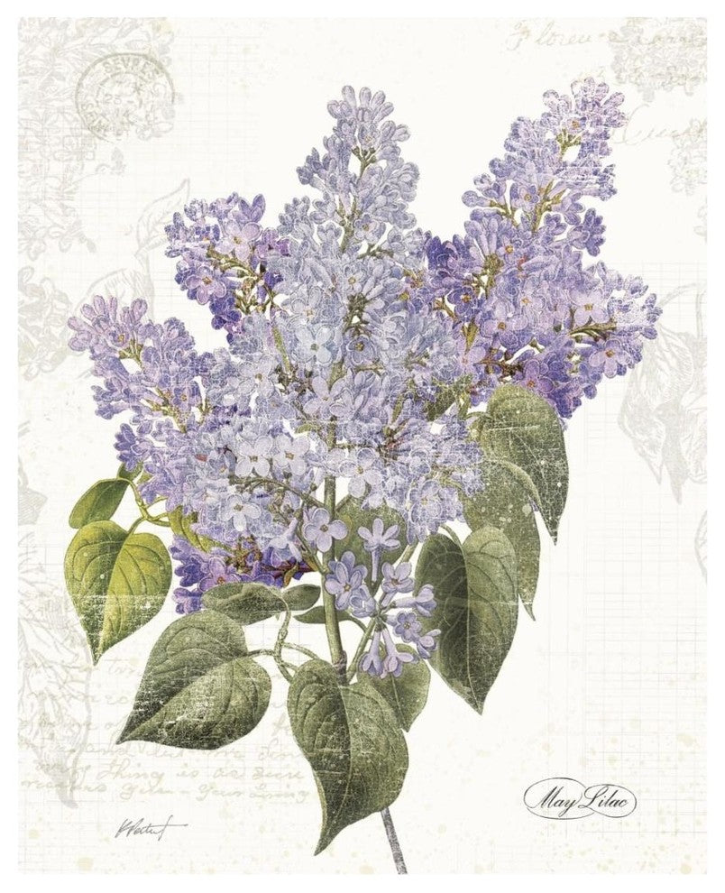 "May Lilac on White" Digital Paper Print by Katie Pertiet, 22"x26"
