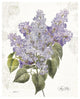 "May Lilac on White" Digital Paper Print by Katie Pertiet, 22"x26"