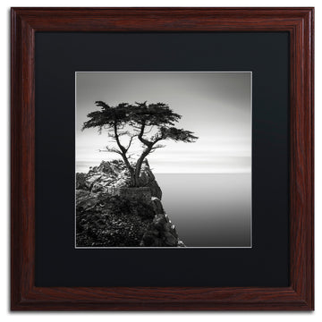 'The Lone Cypress' Matted Framed Canvas Art by Dave MacVicar