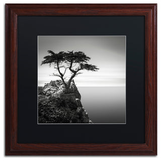 'The Lone Cypress' Matted Framed Canvas Art by Dave MacVicar