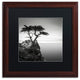 'The Lone Cypress' Matted Framed Canvas Art by Dave MacVicar