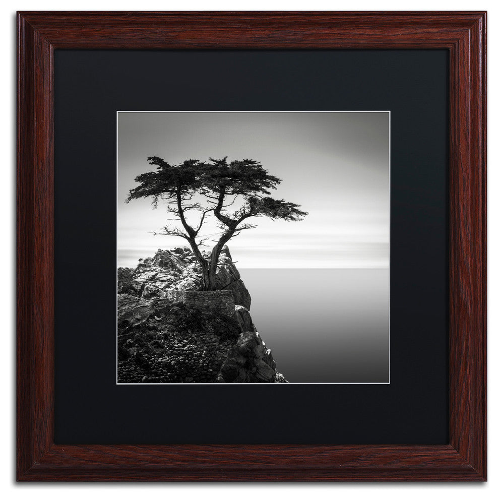 'The Lone Cypress' Matted Framed Canvas Art by Dave MacVicar