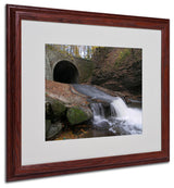 'Monotonous Beauty' Matted Framed Canvas Art by Monica Fleet