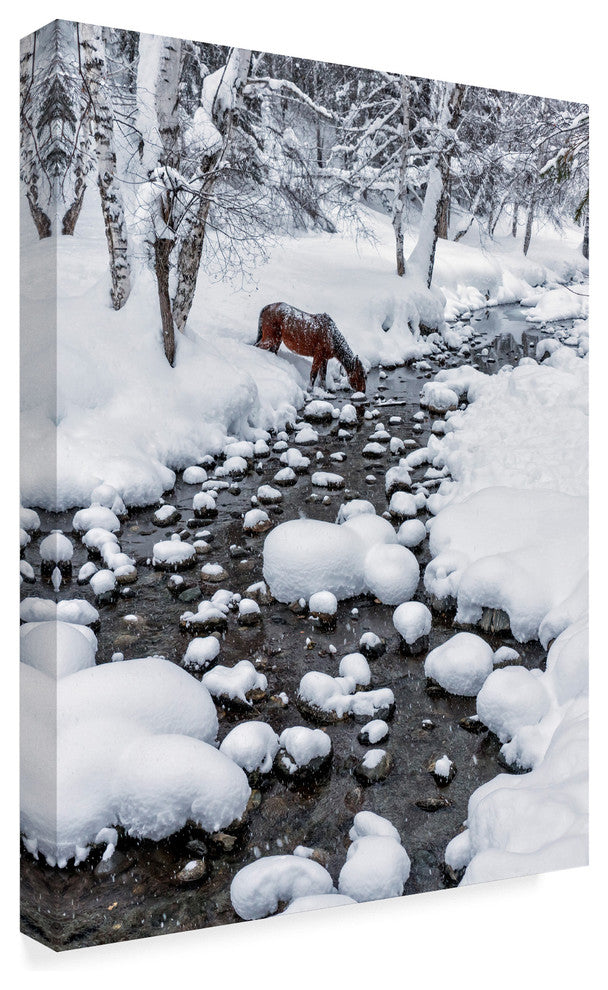 Hua Zhu 'Drinking In Snow' Canvas Art, 47"x35"