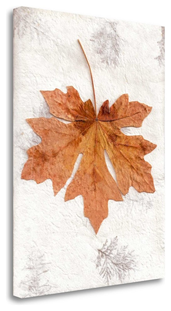 "Lf - 25" By Alan Blaustein, Giclee Print on Gallery Wrap Canvas, Ready to Hang
