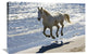 "Camargue Horse Running On The Beach, Camargue, France" Artwork, 36" x 24"