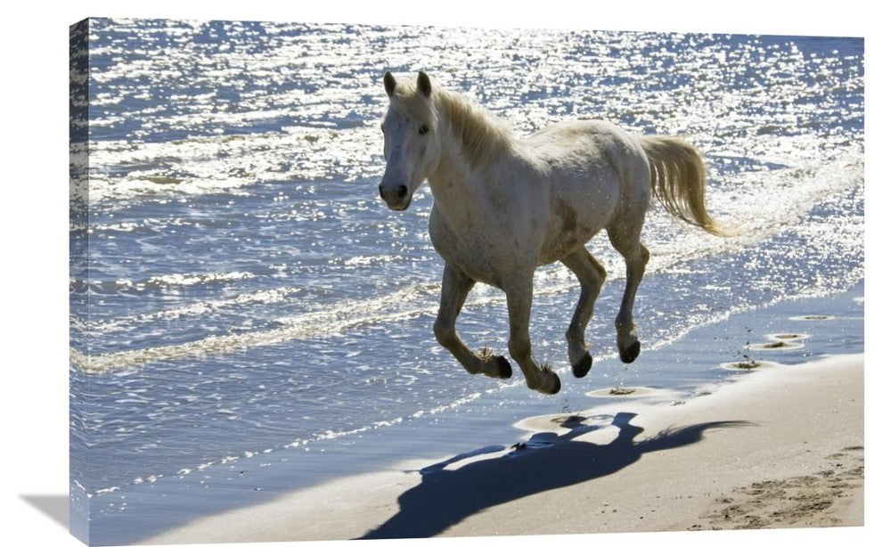 "Camargue Horse Running On The Beach, Camargue, France" Artwork, 36" x 24"