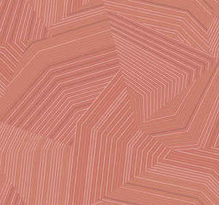 Desert Red Dotted Maze Wallpaper
