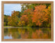Autumn Tree Line Rural Landscape Framed Photo Paper Wall Art Prints, Red Oak, 12" X 18"
