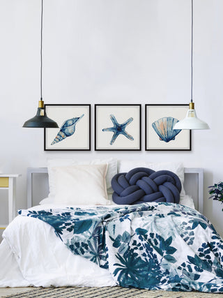 Starfish and Shells Triptych, 3-Piece Set, 12x12 Panels