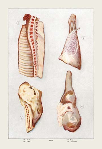 Veal - Gallery Wrapped Canvas Art 28" x 42"