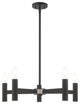 Livex Lighting Black 5-Light Chandelier