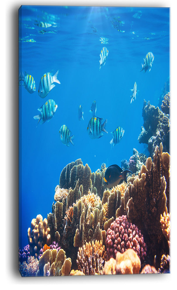 "Bright Blue Waters and Coral Fish" Seashore Canvas Print, 16"x32"