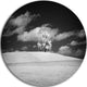 Lonely Tree On Meadow Black White, Landscape Disc Metal Wall Art, 11"