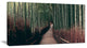 "Bamboo Grove in Arashiyama Panorama" Forest Wall Art, 1 Panel, 60"x28"