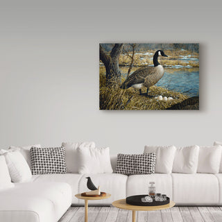 Jeff Tift 'Canadian Goose' Canvas Art, 32"x22"