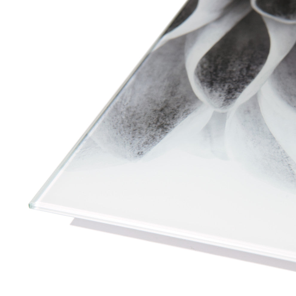 "Dahlia AB" Frameless Free Floating Tempered Glass Panel Graphic Wall Art Set