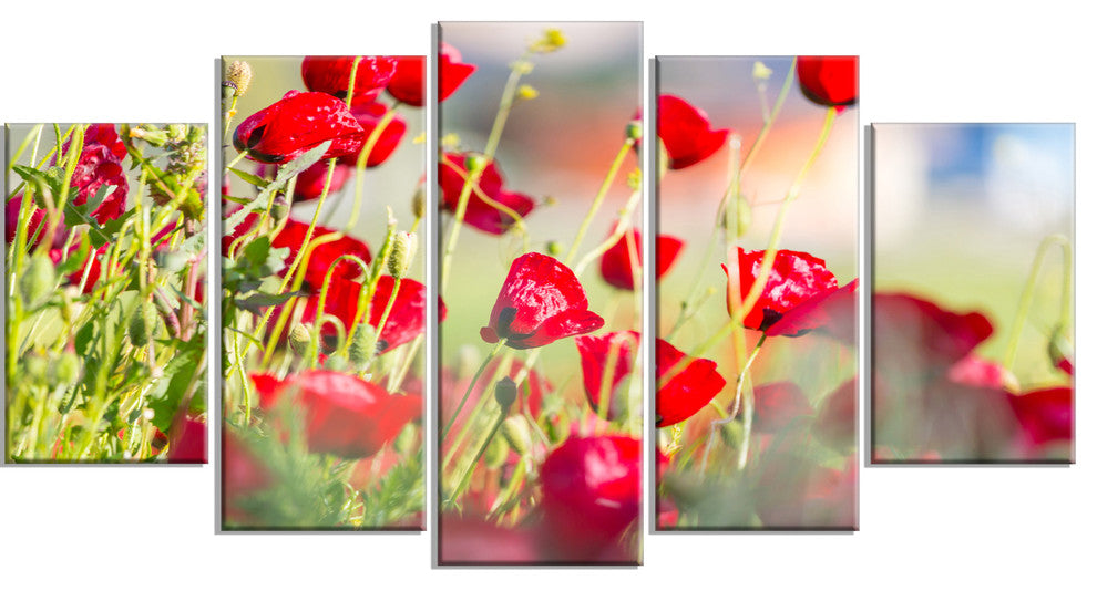 Beautiful Red Poppy Flowers View, Floral Canvas Art Print, 60"x32", 5 Panels