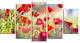 Beautiful Red Poppy Flowers View, Floral Canvas Art Print, 60"x32", 5 Panels