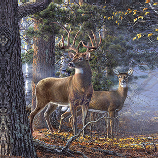 Deer Time Shower Curtain