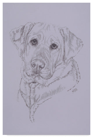 "Labrador Illustration" by Barbara Keith, Canvas Art